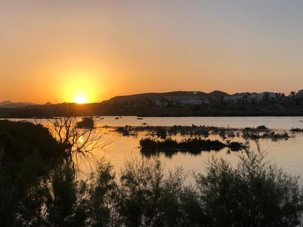 Vera Natura Apartamento Los Olivosアパートメント エクステリア 写真